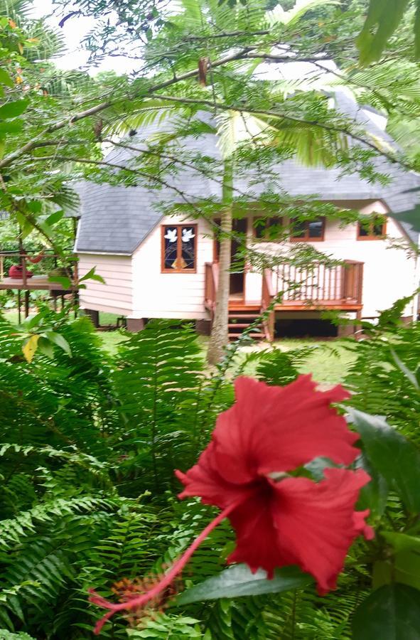 Cape Tribulation Holiday House Exterior foto